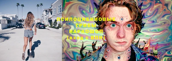 героин Алексин