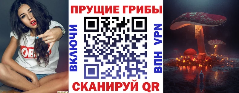 Галлюциногенные грибы Psilocybe наркошоп Новороссийск
