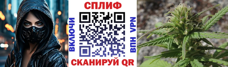 Шишки марихуана план Новороссийск